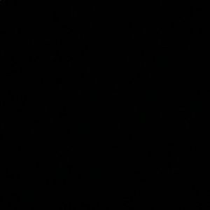 Meet your Posher, Rosa